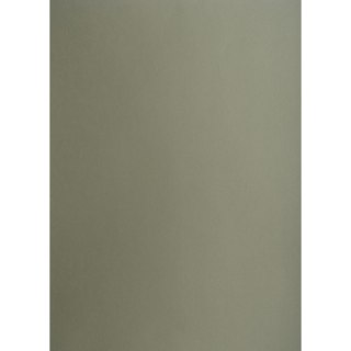 Brystol Creatinio A1 ciemnoszary 160g 25k [mm:] 610x860 (400149524)