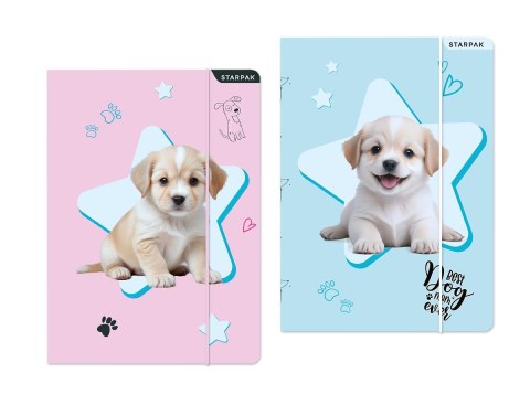 Teczka kartonowa na gumkę Doggy A4 mix Starpak (559706) Teczka kartonowa na gumkę Doggy A4 mix Starpak (559706)