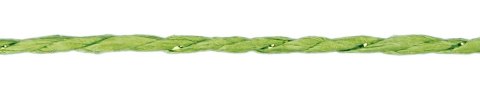 Sznurek Titanum Craft-Fun Series papierowy 10m (24BR0201-15（green))