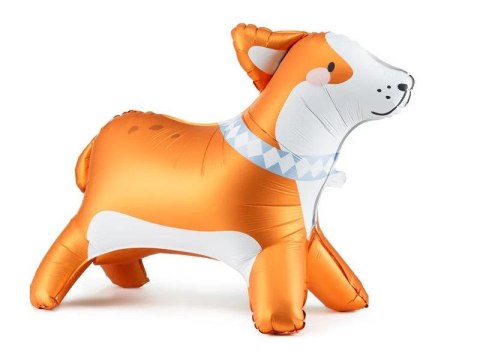 Balon foliowy Partydeco Stojący Corgi, 88x70 cm, mix (FB249) Balon foliowy Partydeco Stojący Corgi, 88x70 cm, mix (FB249)