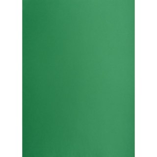 Brystol Creatinio zielony ciemny B1 zielony ciemny 225g 1k (400150269)