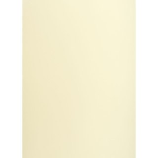 Brystol Creatinio kremowy B1 kremowy 225g 25k (400150252)