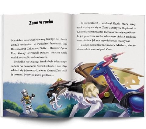 Książeczka edukacyjna Ameet LEGO® NINJAGO®. Moce i zdolności (LNR 6728) Książeczka edukacyjna Ameet LEGO® NINJAGO®. Moce i zdolności (LNR 6728)