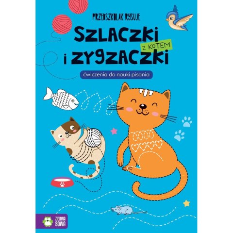 Książeczka edukacyjna Zielona Sowa Przedszkolak rysuje. Szlaczki i zygzaczki z kotem Książeczka edukacyjna Zielona Sowa Przedszkolak rysuje. Szlaczki i zygzaczki z kotem