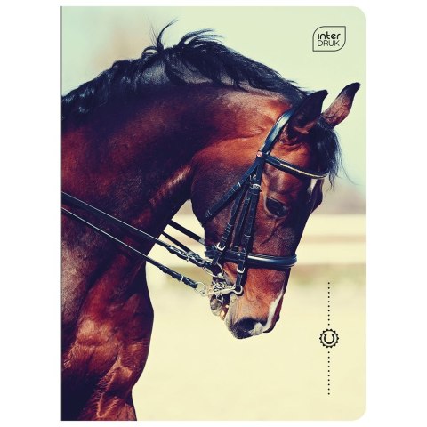 Zeszyt Interdruk A5 16k. 70g trzy linie Zeszyt Interdruk A5 16k. 70g trzy linie