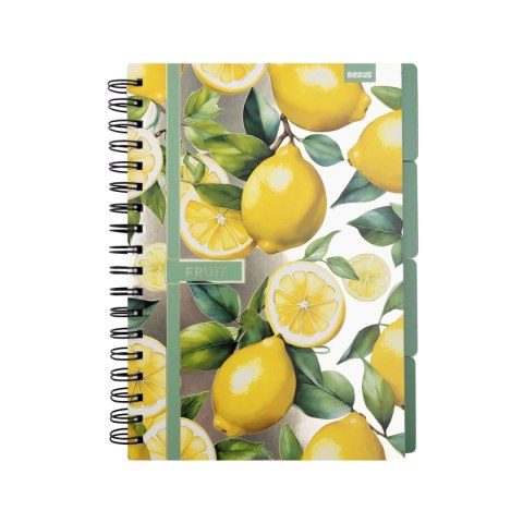 Notes Beniamin metaliza B5 96k. krata
