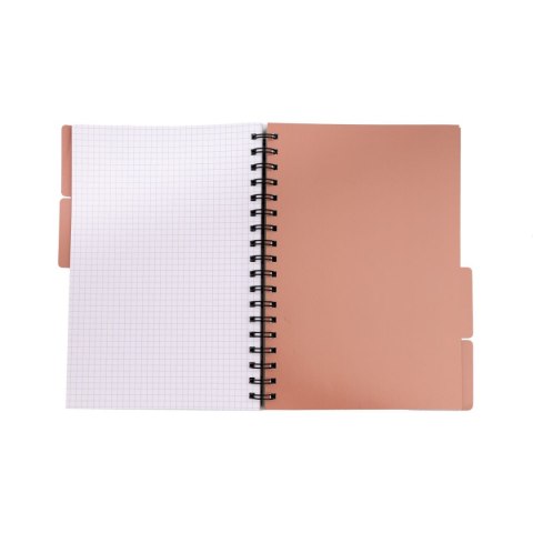 Notes Beniamin metaliza B5 96k. krata