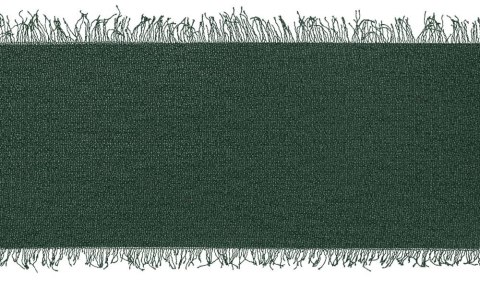 Wstążka Titanum Craft-Fun Series szyfonowa strzępiona 40x10 [mm x m] zielony butelkowy (WJ40-10-012B)