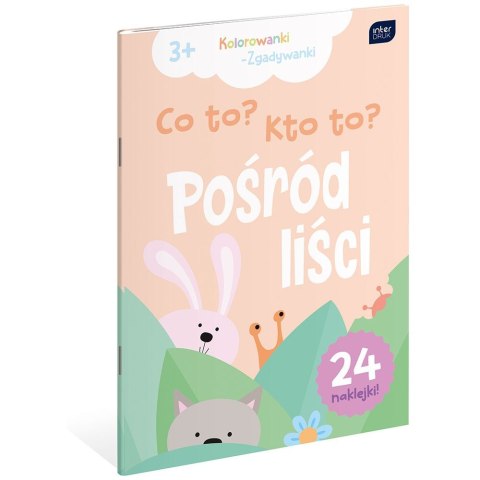 Kolorowanka Interdruk CO TO ? KTO TO? A4 16 z naklejkami (5902277312112) Kolorowanka Interdruk CO TO ? KTO TO? A4 16 z naklejkami (5902277312112)