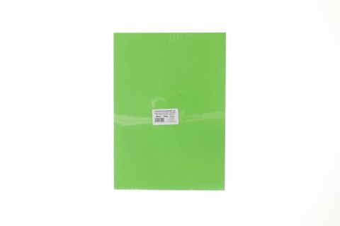 Brystol Protos A3 jasnozielony 160g 20k