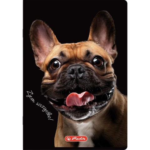 Zeszyt Herlitz Crazy Animal A5 80k. 70g krata (400196839) Zeszyt Herlitz Crazy Animal A5 80k. 70g krata (400196839)