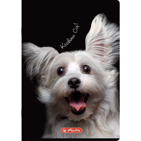 Zeszyt Herlitz Crazy Animal A5 80k. 70g krata (400196839) Zeszyt Herlitz Crazy Animal A5 80k. 70g krata (400196839)