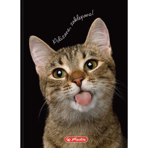 Brulion Herlitz Crazy Animal A6 80k. 70g krata (400196850) Brulion Herlitz Crazy Animal A6 80k. 70g krata (400196850)