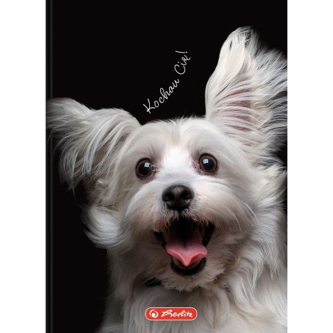 Brulion Herlitz Crazy Animal A6 80k. 70g krata (400196850) Brulion Herlitz Crazy Animal A6 80k. 70g krata (400196850)
