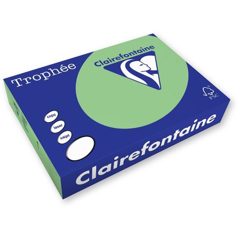 Papier kolorowy Trophee kolorowy 1775 A4 zielony 500k. 80g (xca41775) Papier kolorowy Trophee kolorowy 1775 A4 zielony 500k. 80g (xca41775)