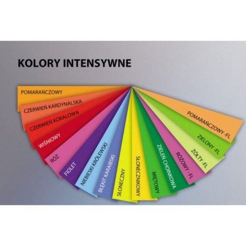 Papier kolorowy Trophee kolorowy A4 żółty 500k. 80g (xca42977)