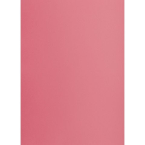Brystol Creatinio różowy B1 różowy 225g 1k (400150260)