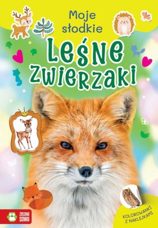 Książeczka edukacyjna Zielona Sowa Moje słodkie zwierzaki. Leśne zwierzaki