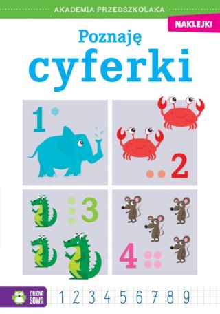 Książeczka edukacyjna Zielona Sowa Akademia przedszkolaka. Poznaję cyferki