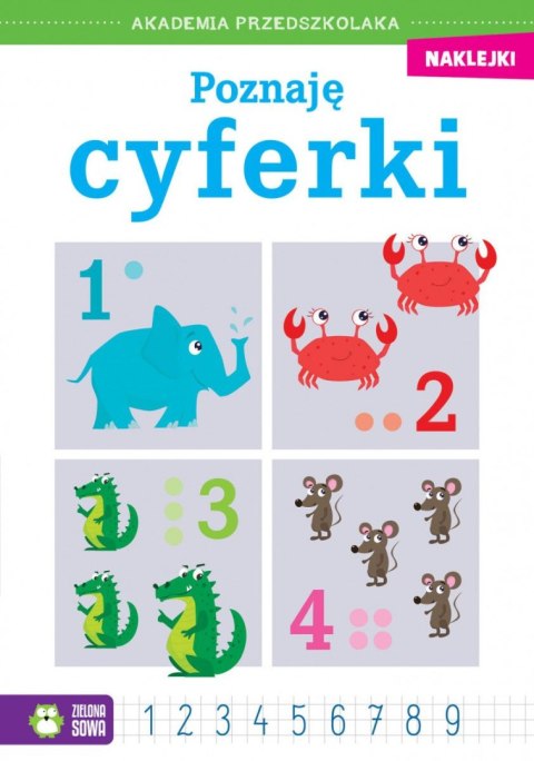 Książeczka edukacyjna Zielona Sowa Akademia przedszkolaka. Poznaję cyferki