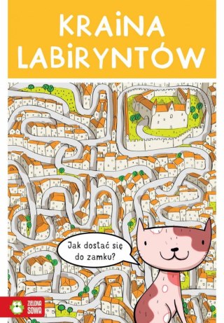 Książeczka edukacyjna Zielona Sowa Kraina labiryntów