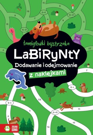 Książeczka edukacyjna Zielona Sowa Łamigłówki bystrzaka Labirynty. Dodawanie i odejmowanie
