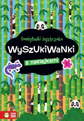 Książeczka edukacyjna Zielona Sowa Łamigłówki bystrzaka. Wyszukiwanki