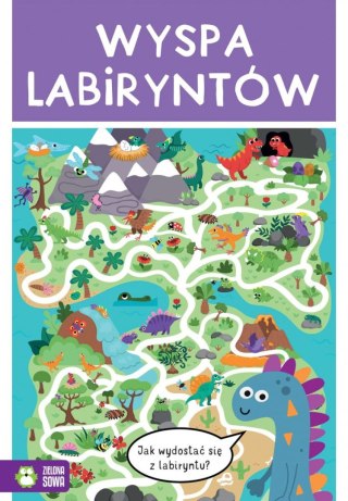 Książeczka edukacyjna Zielona Sowa Wyspa labiryntów
