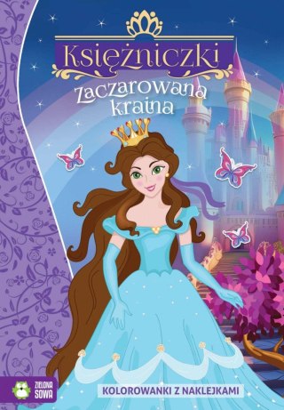 Książeczka edukacyjna Zielona Sowa Zaczarowana kraina