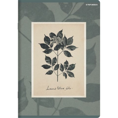 Zeszyt Top 2000 FLOWERS A5 60k. 70g linia (400169420)