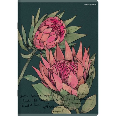 Zeszyt Top 2000 FLOWERS A5 60k. 70g linia (400169420)