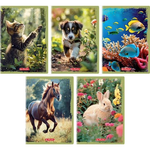 Zeszyt Animals A5 16k. 70g gładki Herlitz (400196854) Zeszyt Animals A5 16k. 70g gładki Herlitz (400196854)