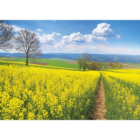 Kalendarz ścienny Pejzaże Polski rodzinny 2023 280mm x 200mm Lucrum (WL03) Kalendarz ścienny Pejzaże Polski rodzinny 2023 280mm x 200mm Lucrum (WL03)