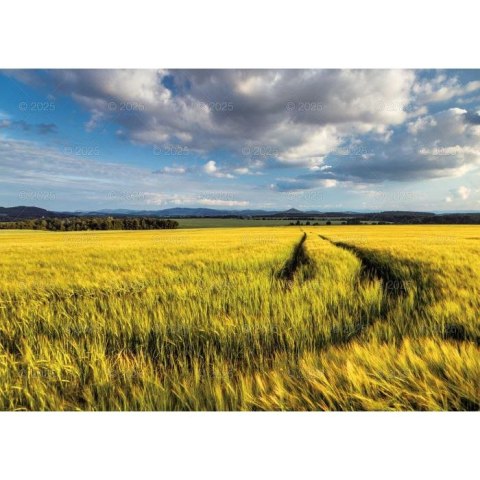 Kalendarz ścienny Pejzaże Polski rodzinny 2023 280mm x 200mm Lucrum (WL03) Kalendarz ścienny Pejzaże Polski rodzinny 2023 280mm x 200mm Lucrum (WL03)