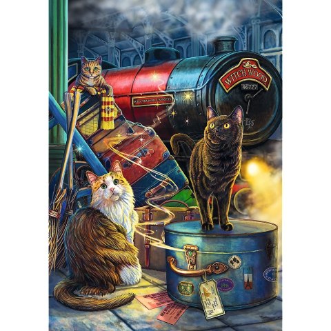 Puzzle Magic Collection Premium Plus Ekspres czarownic 1000 el. Trefl (10897)