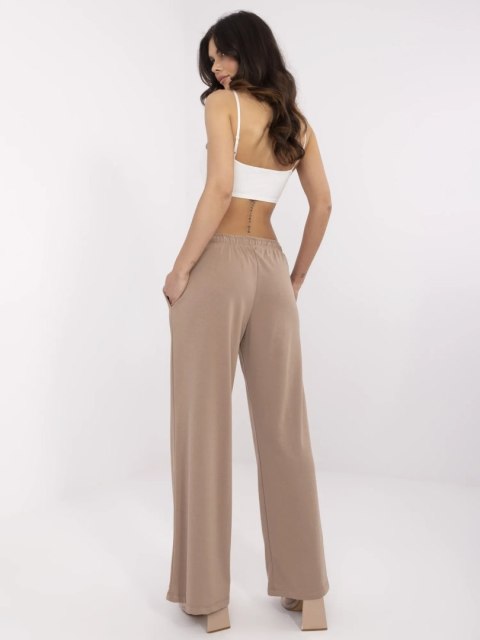Spodnie dresowe RV-DR-A590.08 ciemny bezowy L/XL